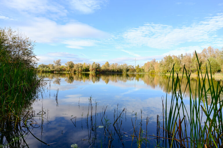 Großer Behrenssee
