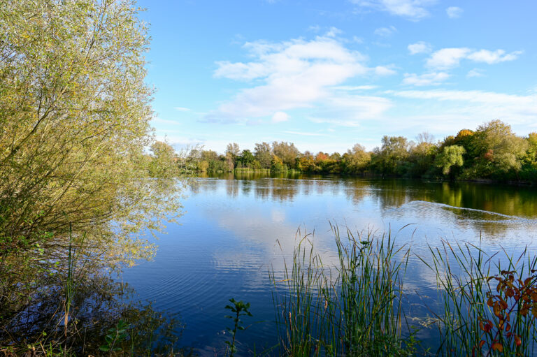 Kleiner Behrenssee