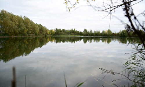 Dreiecks-Teich am Sportplatz Rössing