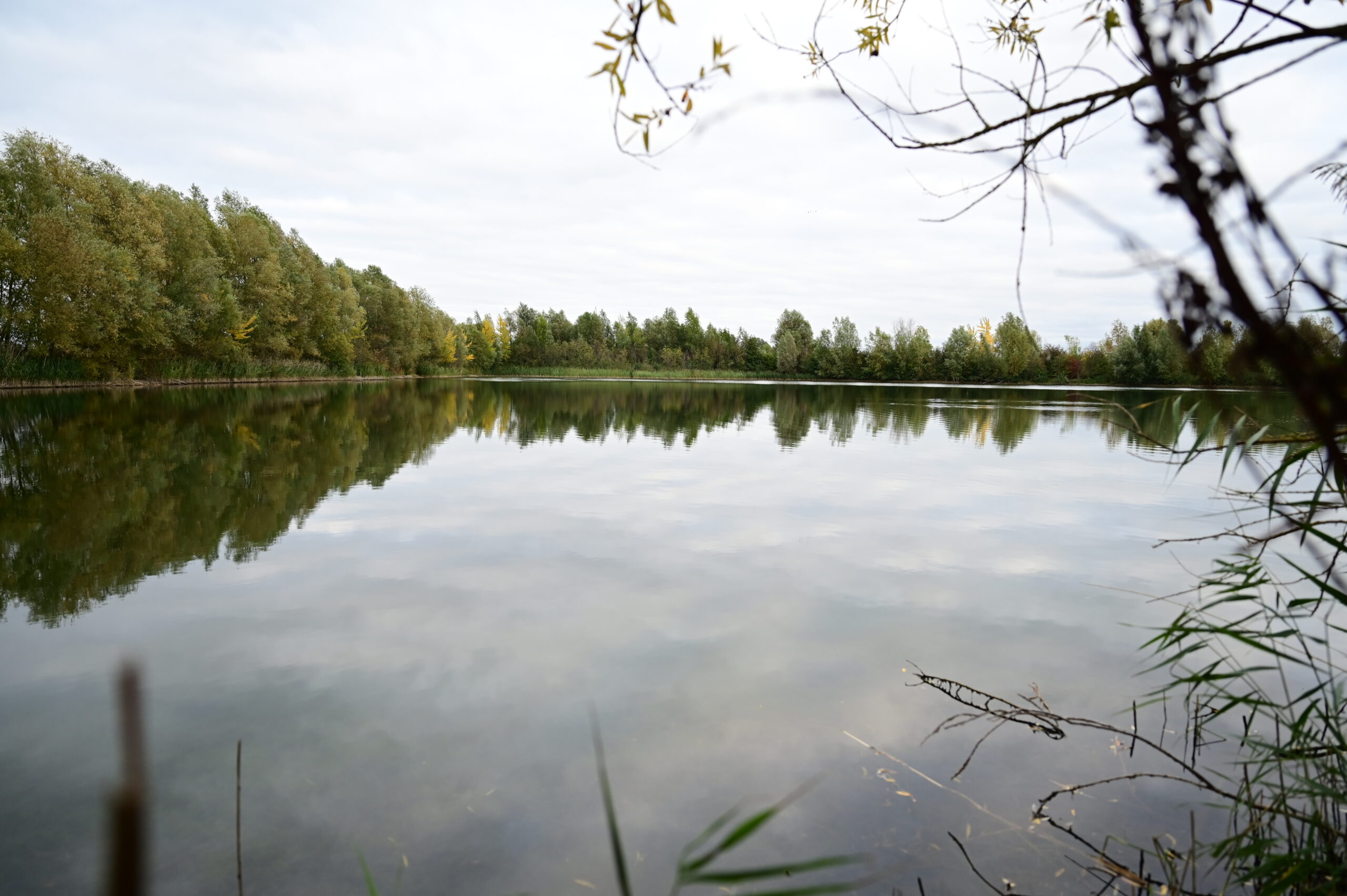 Dreiecks-Teich am Sportplatz Rössing